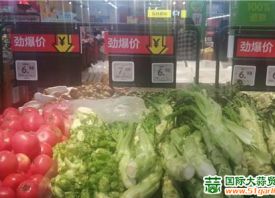 昆明:葉類蔬菜價格上漲 ()