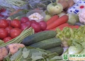 廈門：外地菜恢復供應 菜價回落 ()