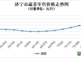 濟(jì)寧市：蔬菜價(jià)格以降為主！ ()