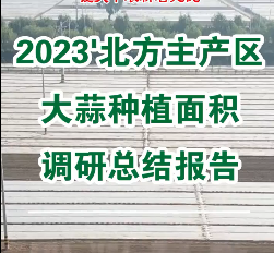 【即將發(fā)布】2023'北方主產區(qū)大蒜種植面積調研總結報告 ()